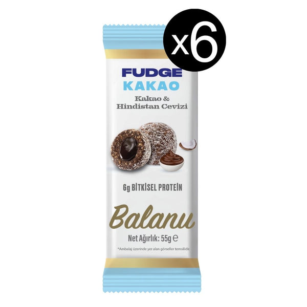 Fudge Hindistan Cevizi Kaplı Kakaolu Meyve Topları 55g x 6 Adet