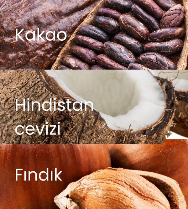 Fudge Hindistan Cevizi Kaplı Kakaolu Meyve Topları 110gr - Balanu