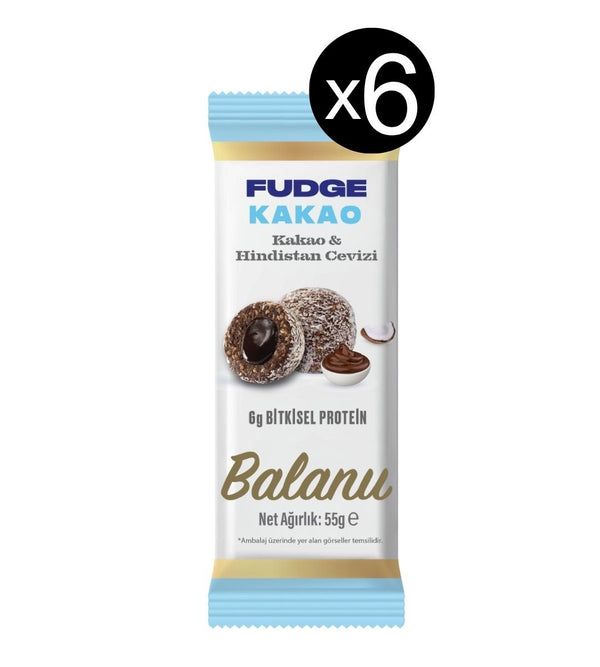 Fudge Hindistan Cevizi Kaplı Kakaolu Meyve Topları 55g x 6 Adet - Balanu