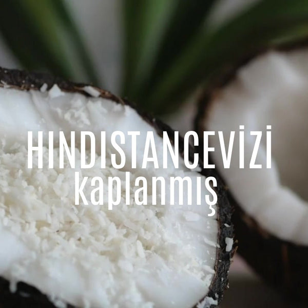 Fudge Hindistancevizi Kaplı Meyve Topları 55 Gr x 6 - Balanu