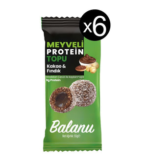 Meyveli Kakaolu & Fındıklı Protein Topları 55gr x 6 Adet - Balanu